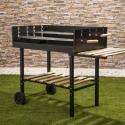 Houtskoolbarbecue met verstelbare roosters en wielen Braska Verkoop
