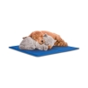 Middelgrote verkoelende dierenmat 50x40cm Puppy Korting