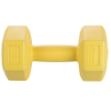 Hexagonale Fitness Halter 2 kg Antiroldesign Biron Aanbod