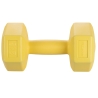 Hexagonale Fitness Halter 2 kg Antiroldesign Biron Aanbod