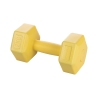 Hexagonale Fitness Halter 2 kg Antiroldesign Biron Aanbieding