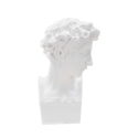 Decoratieve beeldsculptuur van witte hars mannelijk gezicht Enea Aanbieding