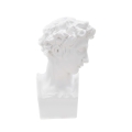 Decoratieve beeldsculptuur van witte hars mannelijk gezicht Enea Aanbieding
