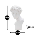 Decoratieve beeldsculptuur van witte hars mannelijk gezicht Enea Catalogus