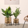 Set van 2 ronde rattan plantenbakken met zwart metalen standaard Zeyok Verkoop