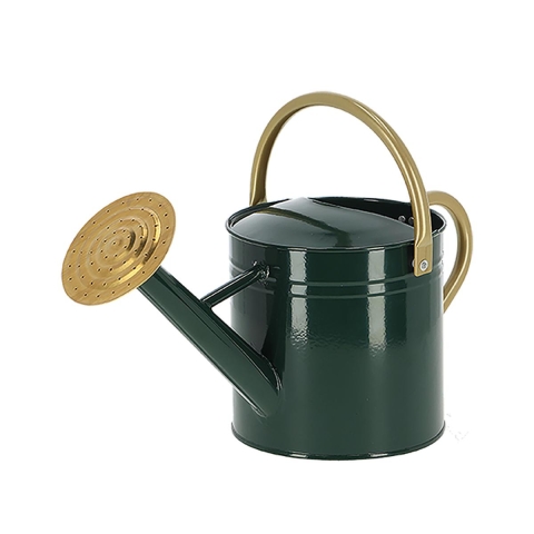 Gieter met ronde tuit voor tuin en balkon Groen S Aanbieding
