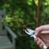 Multifunctioneel tuingereedschap schaar van staal en hout Verkoop