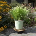 Ronde houten plantenroller met wielen Korting