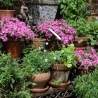 Hoekplank voor in de tuin - Etagère voor plantenpotten - 3 niveaus Aanbod