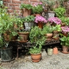 Hoekplank voor in de tuin - Etagère voor plantenpotten - 3 niveaus Verkoop