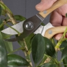 Snoeiset met tuingereedschap Korting
