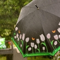 Paraplu met tulpen die van kleur veranderen in de regen Keuze