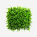 3D varen kunsthaag 50x50 cm Pritus Aanbieding
