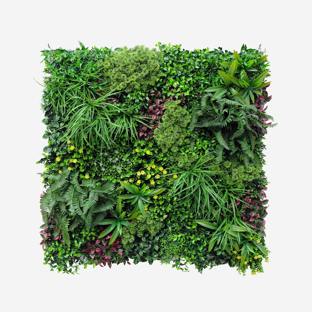 Realistische kunsthaag 100x100 cm met 3D planten Ilex Aanbieding