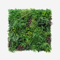 Realistische kunsthaag 100x100 cm met 3D planten Ilex Aanbieding