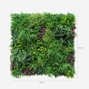 Realistische kunsthaag 100x100 cm met 3D planten Ilex Kortingen