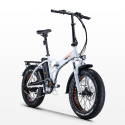 Elektrische Fiets E-Bike Vouwfiets 250W Lithiumbatterij Shimano RSIII Voorraad
