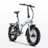 Elektrische Fiets E-Bike Vouwfiets 250W Lithiumbatterij Shimano RSIII Voorraad