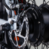 Elektrische Fiets E-Bike Vouwfiets 250W Lithiumbatterij Shimano RSIII Karakteristieken