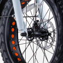 Elektrische Fiets E-Bike Vouwfiets 250W Lithiumbatterij Shimano RSIII Afmetingen