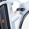 Elektrische Fiets E-Bike Vouwfiets 250W Lithiumbatterij Shimano RSIII Prijs