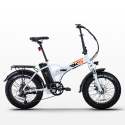 Elektrische Fiets E-Bike Vouwfiets 250W Lithiumbatterij Shimano RSIII Catalogus