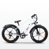 Elektrische Fiets E-Bike Cruiser Custom 250W RKS Shimano XR6 Kortingen