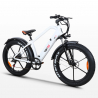 Elektrische Fiets E-Bike Cruiser Custom 250W RKS Shimano XR6 Catalogus