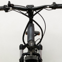 Elektrische Fiets E-Bike Cruiser Custom 250W RKS Shimano XR6 Karakteristieken