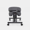 Ergonomische kniestoel van stof en metaal Balancesteel Lux  