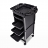 Professionele kappers en schoonheidsspecialisten trolley Bangs Catalogus