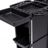 Professionele kappers en schoonheidsspecialisten trolley Bangs Keuze