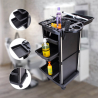 Draagbare trolley voor kappers en schoonheidsspecialisten met wielen en grote vakken Twists Verkoop