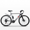 Elektrische fiets e-bike stadsfiets voor heren 250W Shimano W6 Karakteristieken
