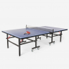 Tafeltennistafel 274x152,5cm voor binnen en buiten professioneel opklapbaar compleet ACE