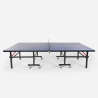 Tafeltennistafel 274x152,5cm voor binnen en buiten professioneel opklapbaar compleet ACE