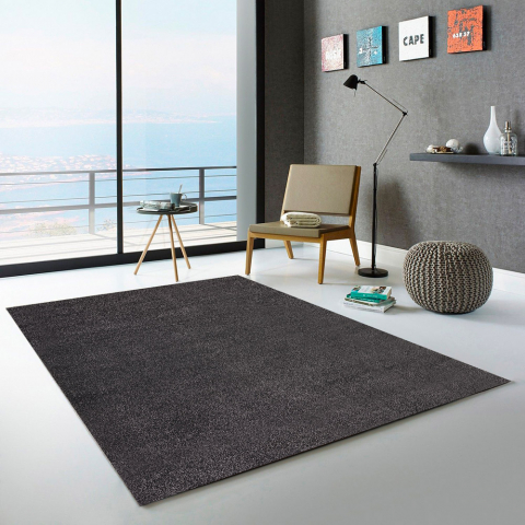 Modern antistatisch tapijt grijs zwart voor woonkamer entree CASACOLORA CCGRN Aanbieding
