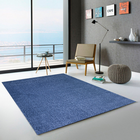 Blauw tapijt moderne woonkamer inkomhal CASACOLORA CCDEN