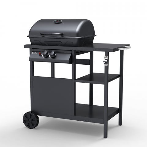 Barbecue BBQ gas RVS 2 pits grillrooster Bagnét Verd Aanbieding