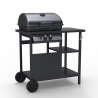 Barbecue BBQ gas RVS 2 pits grillrooster Bagnét Verd Korting