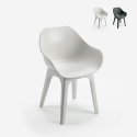 Moderne stoel van polypropyleen voor bar, keuken of restaurant Progarden Ghibli Verkoop