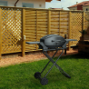 Barbecue BBQ draagbare roestvrijstalen Grillbrander op gas Bernese Fr Verkoop