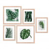 Set van 5 ingelijste foto's van bladeren prints collage Frame Jungle Verkoop