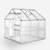 Polycarbonaat aluminium tuinkas met openslaande deuren 183x185x205 cm Vanilla Verkoop