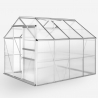 Tuinkas in aluminium en polycarbonaat met deur en raam 183x245x205 cm Laelia Verkoop