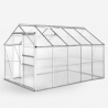 Tuinkas in aluminium en polycarbonaat met deur en raam 183x305x205 cm Pavonia Verkoop
