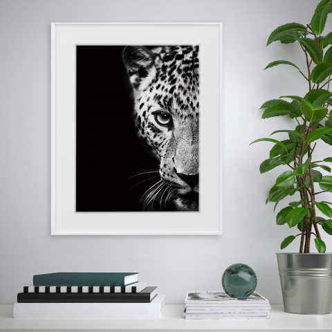 Poster foto zwart-wit foto dieren luipaard 40x50cm Variety Kambuku