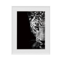 Poster foto zwart-wit foto dieren luipaard 40x50cm Variety Kambuku Verkoop