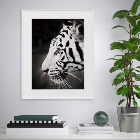 Zwart-wit fotoprint tijger dier 40x50cm Variety Harimau