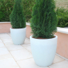Ronde hoge design plantenpot Ø 60cm tuin terras balkon Orione Afmetingen